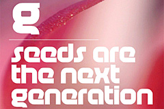 Thumbnail image for Free Font: Age